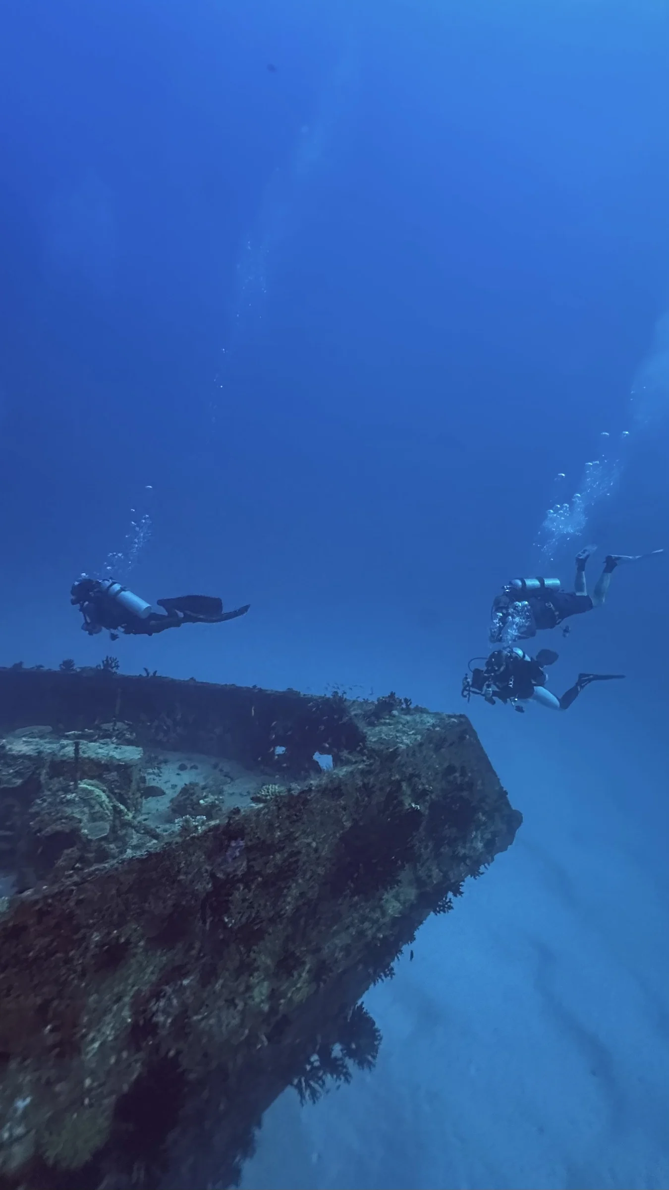 A group of divers explores the wreck together.