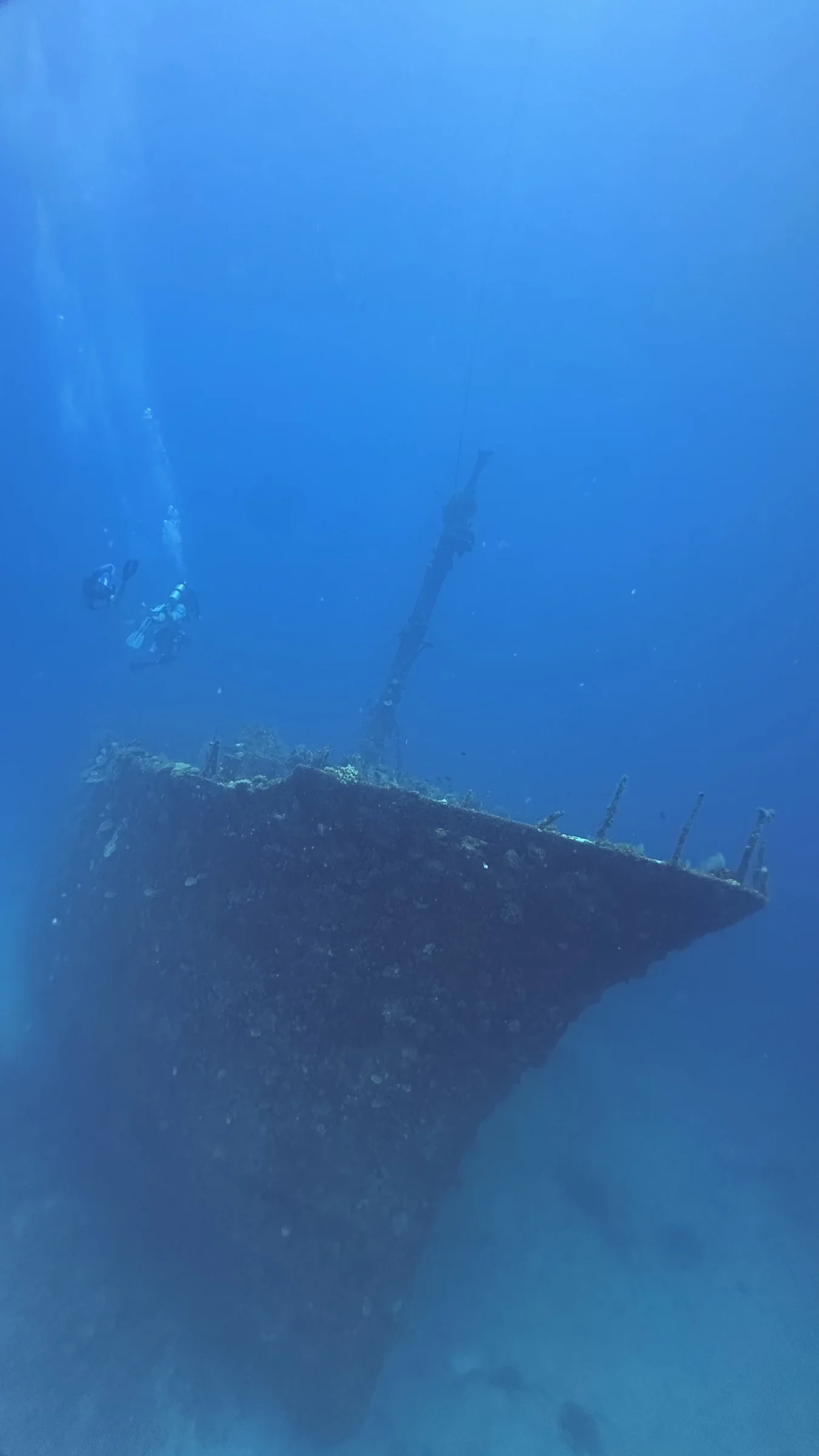 Divers descend beside a coral-covered wreck.