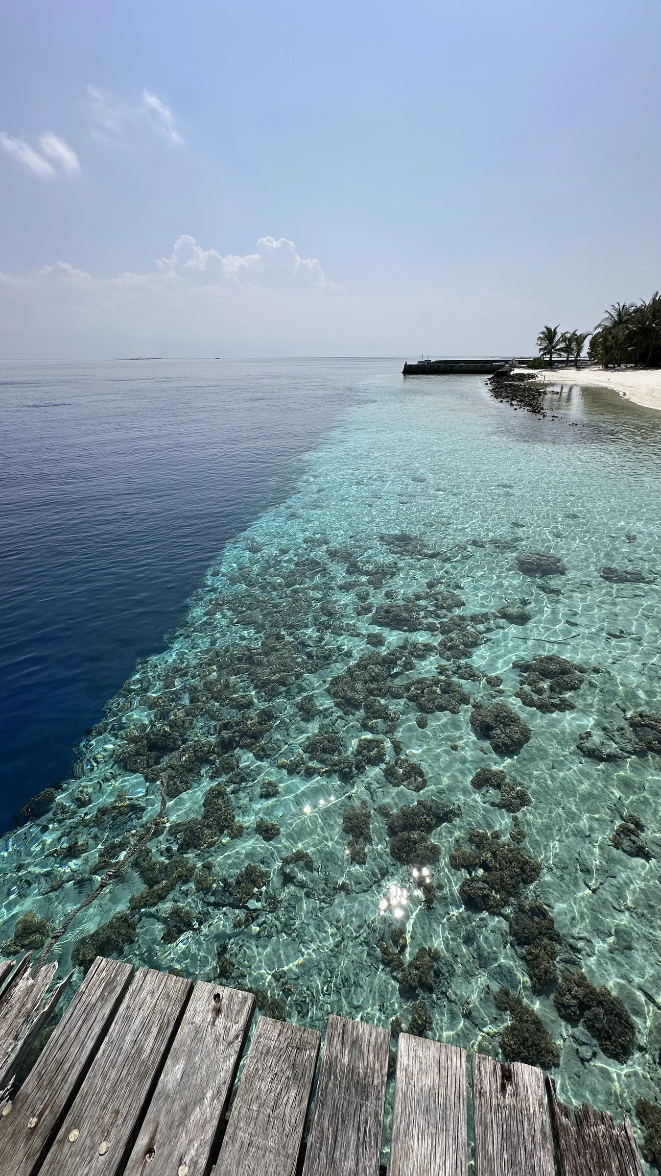Crystal-clear shallows meet the island shore.